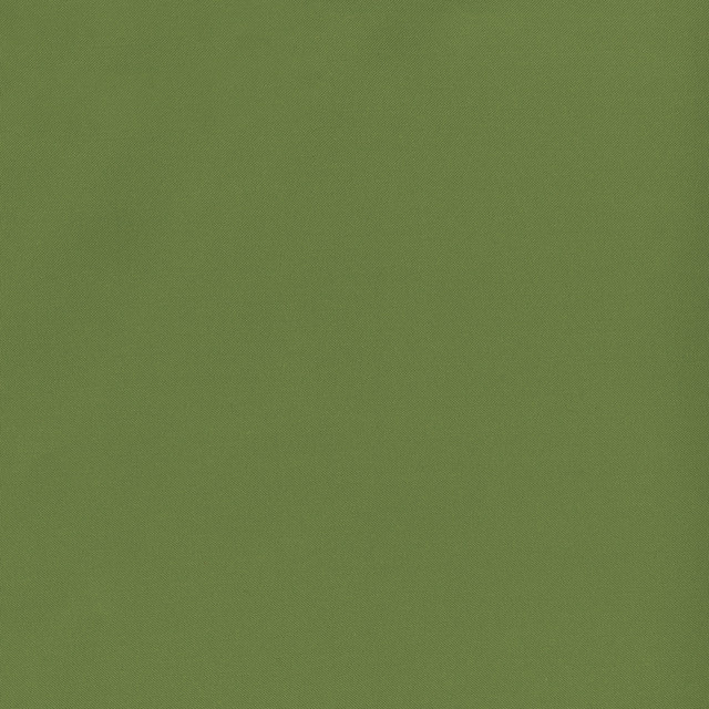 Banks 21 Fern by SolarShade Designer Fabric 100% Solution Dyed Polyester CN 150,000 Double Rubs (Wyzenbeek) </p><p>Repeat: Horizontal: and Vertical: 54 in. (137 cm) - Swanky Fabrics -