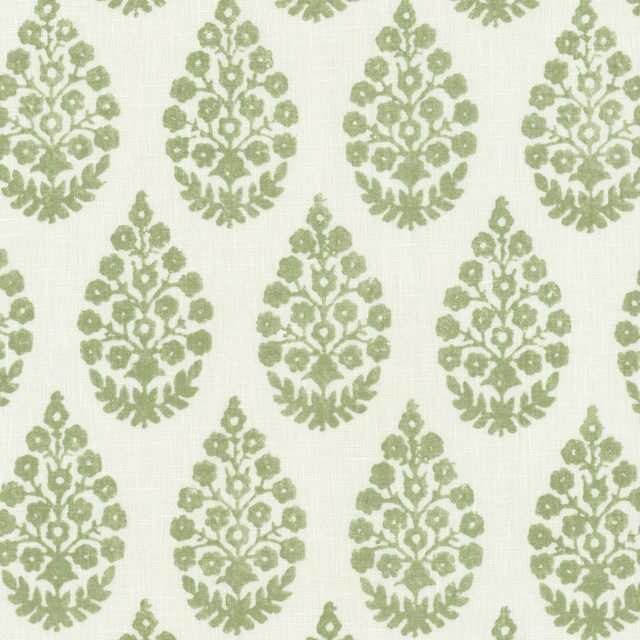 Euclid 1 Sage by Stout Designer Fabric RAINBOW LIBRARY SAGE/CYPRESS 68%POL 32%COT INDIA Horizontal: 3.375 and Vertical: 3.875 54 in - Swanky Fabrics -