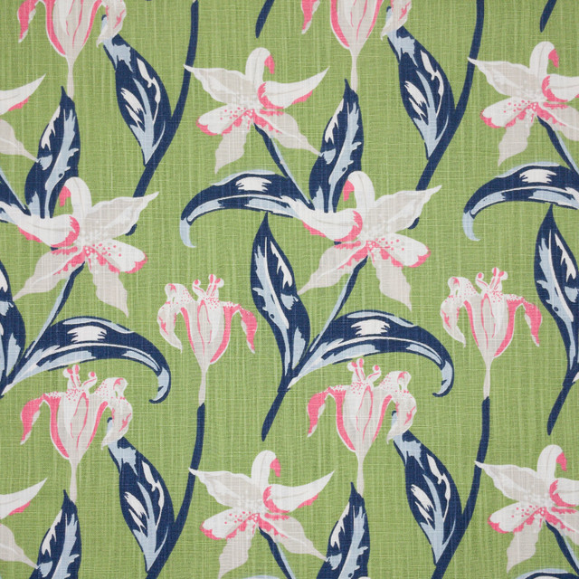 Emma 1 Grass by Aoc Designer Fabric THE ART OF COLOR HERITAGE II 100%COT USA Horizontal: 9.000 and Vertical: 12.625 54 in - Swanky Fabrics -