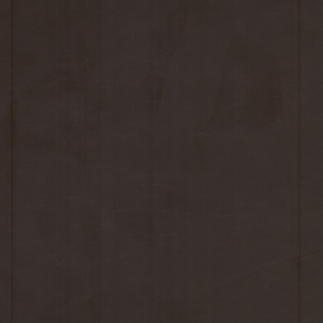 Cervantes 5 Espresso by Stout Designer Fabric LEATHER LOOKS V 100%PVC 1%OTH CHINA Horizontal: 0.000 and Vertical: 0.000 54 in - Swanky Fabrics -