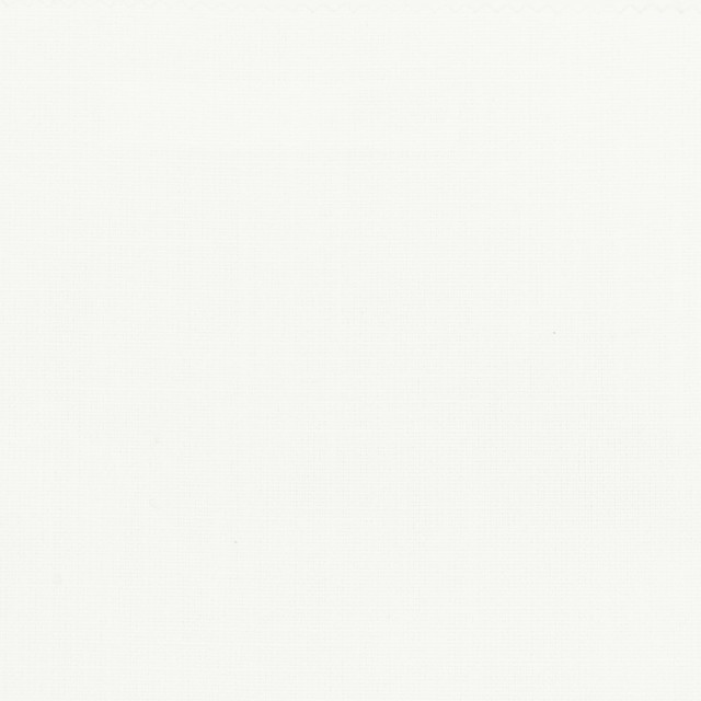 Bromiley 4 White by Stout Designer Fabric COLOR APPEAL 100%POL INDIA Horizontal: 0.000 and Vertical: 0.000 54 in - Swanky Fabrics -