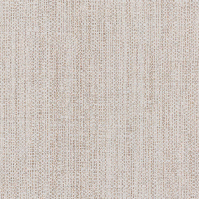 Privilege 7 Beige by Stout Designer Fabric TEMPTATION II DRAPERY TEXTURES 83%POL 12%COT 5%SVI INDIA WYZENBEEK 50 000 DOUBLE RUB WEAR TEST (HEAVY DUTY) Horizontal: 0.000 and Vertical: 0.000 55 in - Swanky Fabrics -