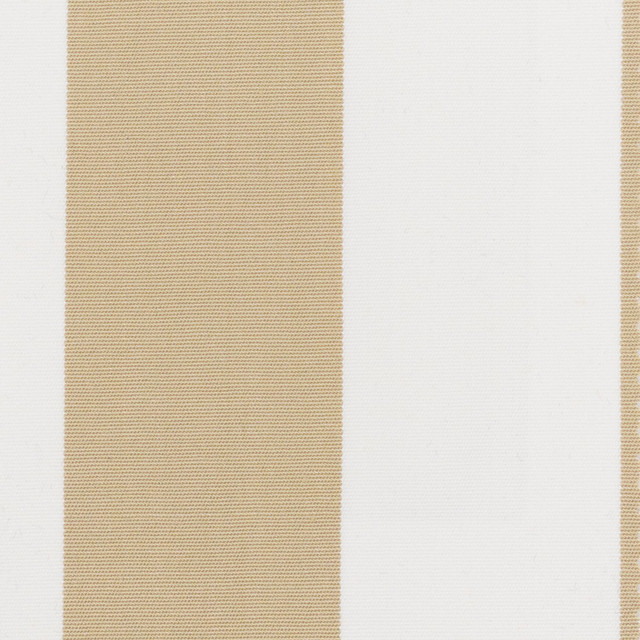 Patmore 2 Beige by Stout Designer Fabric ENDLESS OPPORTUNITY 100%SDA MEXICO Horizontal: 4.125 and Vertical: 0.000 54 in - Swanky Fabrics -