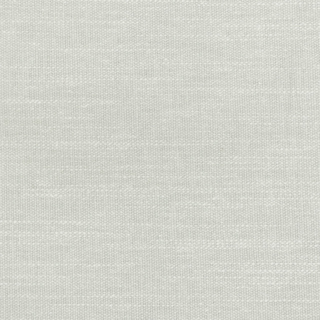 Luzon 5 Platinum by Stout Designer Fabric COLOR APPEAL 46%COT 35%POL 10%LIN 9%SVI INDIA PERFORMANCE RATED FABRIC FLAME RETARDANT-U.F.A.C. CLASS 1 CATB 117-2013 WYZENBEEK 40 000 DOUBLE RUB WEAR TEST (HEAVY DUTY) Horizontal: 0.000 and Vertical: 0.000 55 in - Swanky Fabrics -