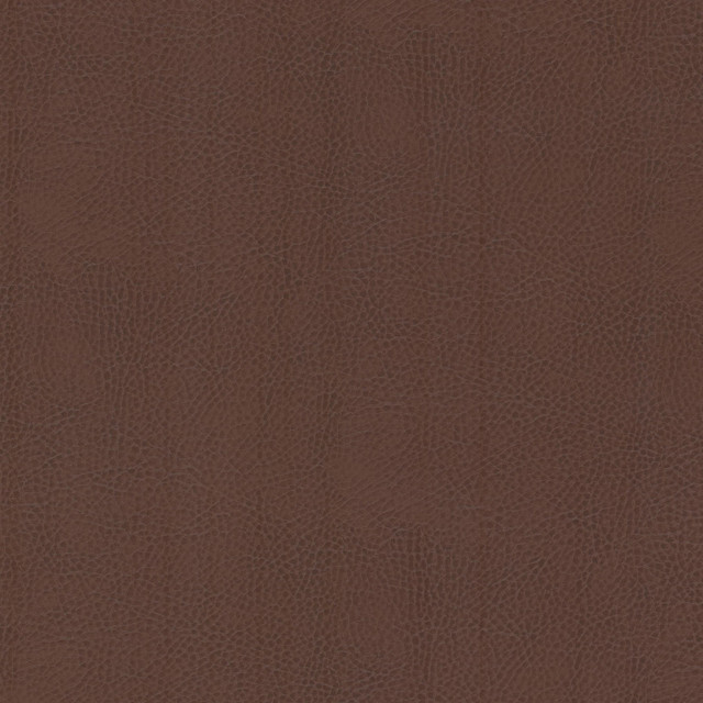 Odean 3 Rootbeer by Stout Designer Fabric LEATHER LOOKS V 100%POU 100%OTH CHINA FLAME RETARDANT-CA BULLETIN 117-CLASS 1 WYZENBEEK 15 000 DOUBLE RUB WEAR TEST (HEAVY DUTY) CATB 117-2013 Horizontal: 0.000 and Vertical: 0.000 54 in - Swanky Fabrics -
