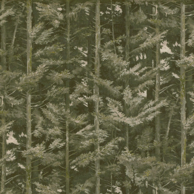 Latvia 2 Olive by Marcus William Designer Fabric KAI/MARCUS WILLIAM HEATHLAND 90%POL 10%COT INDIA PERFORMANCE RATED FABRIC WYZENBEEK 50 000 DOUBLE RUB WEAR TEST (HEAVY DUTY) CATB 117-2013 FLAME RETARDANT-U.F.A.C. CLASS 1 FLAME RETARDANT-N.F.P.A. 260A CLASS 1 Horizontal: 54.375 and Vertical: 32.625 54 in - Swanky Fabrics -