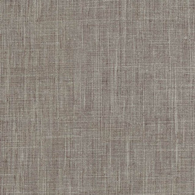 Obligation Graphite by Carole Designer Fabric Dove Wing 84% Polyester, 16% Cotton INDIA N/A None 54" - Swanky Fabrics -