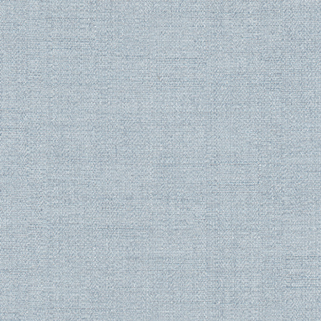 Cortland Chambray by Carole Designer Fabric Gala 100% Polyester India 30,000 WYZENBEEK DOUBLE RUBS None 54.75" - Swanky Fabrics -
