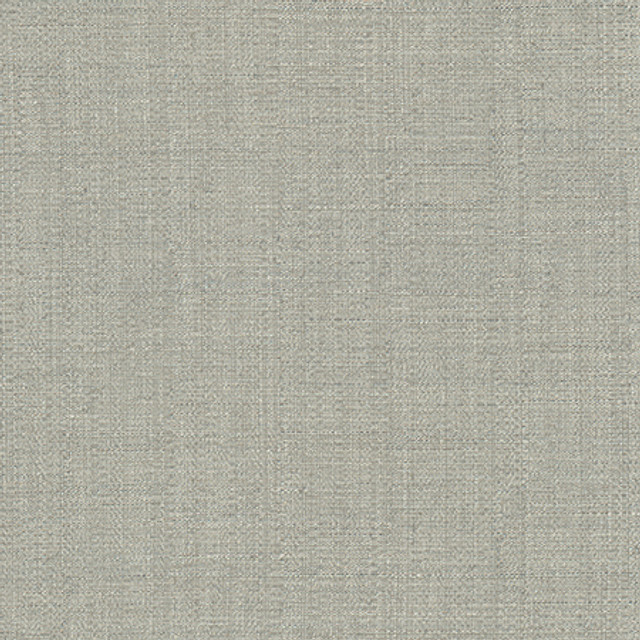 Cortland Dove by Carole Designer Fabric Gala 100% Polyester India 30,000 WYZENBEEK DOUBLE RUBS None 54.75" - Swanky Fabrics -