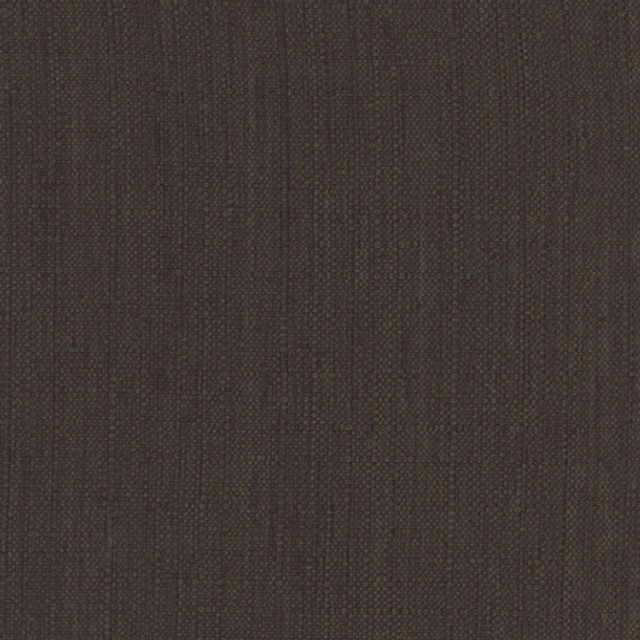 Intention Jet by Carole Designer Fabric Head Start 100% Polyester Taiwan 25,000 Wyzenbeek Double Rubs None 54" - Swanky Fabrics -