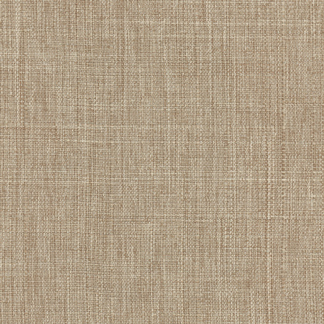 Intention Sahara by Carole Designer Fabric Head Start 100% Polyester Taiwan 25,000 Wyzenbeek Double Rubs None 54" - Swanky Fabrics -