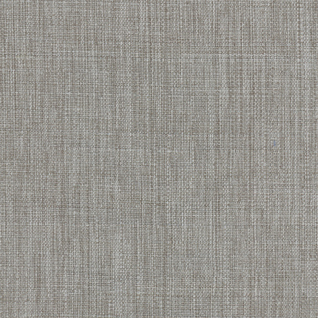 Intention Shale by Carole Designer Fabric Head Start 100% Polyester Taiwan 25,000 Wyzenbeek Double Rubs None 54" - Swanky Fabrics -