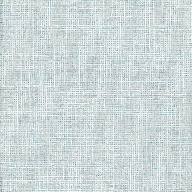 Adjuster Vapor by Carole Designer Fabric Laguna 62% Polyester, 32% Cotton, 6% Viscose INDIA 27,000 Wyzenbeek Double Rubs None 54" - Swanky Fabrics -