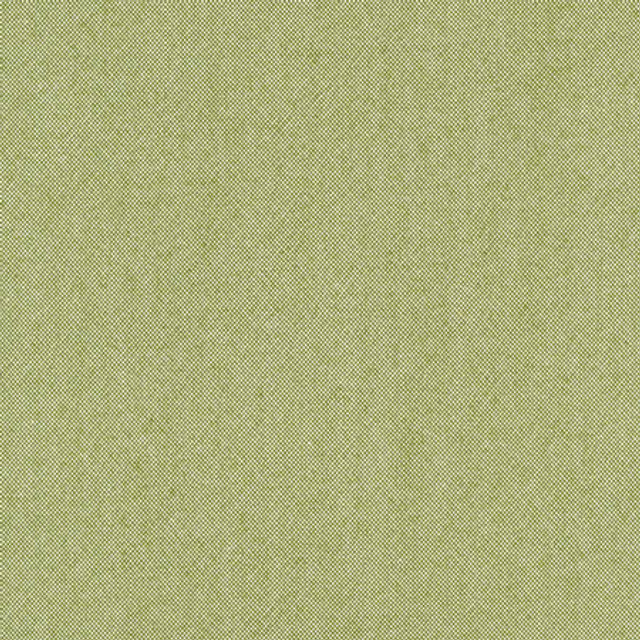 Freshman Aloe by Carole Designer Fabric Laguna 100% Polyester INDIA 100,000 Wyzenbeek Double Rubs None 54" - Swanky Fabrics - Freshman Aloe by Carole Designer Fabric Laguna 100% Polyester INDIA 100,000 Wyzenbeek Double Rubs None 54" - Swanky Fabrics -