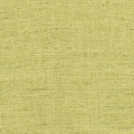 Training Day Lime by Carole Designer Fabric Laguna 92% Polyester, 8% Cotton INDIA N/A None 54" - Swanky Fabrics -