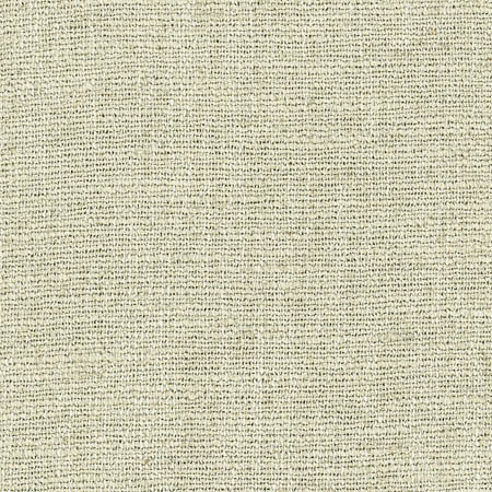 Warden Celery by Carole Designer Fabric Laguna 90% Polyester, 10% Linen CHINA 20,000 Wyzenbeek Double Rubs None 55" - Swanky Fabrics -