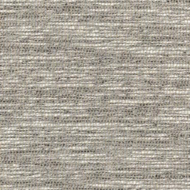 Book Club Mist by Carole Designer Fabric See It Through 66% Polyester, 34% Cotton India N/A None 56" - Swanky Fabrics -