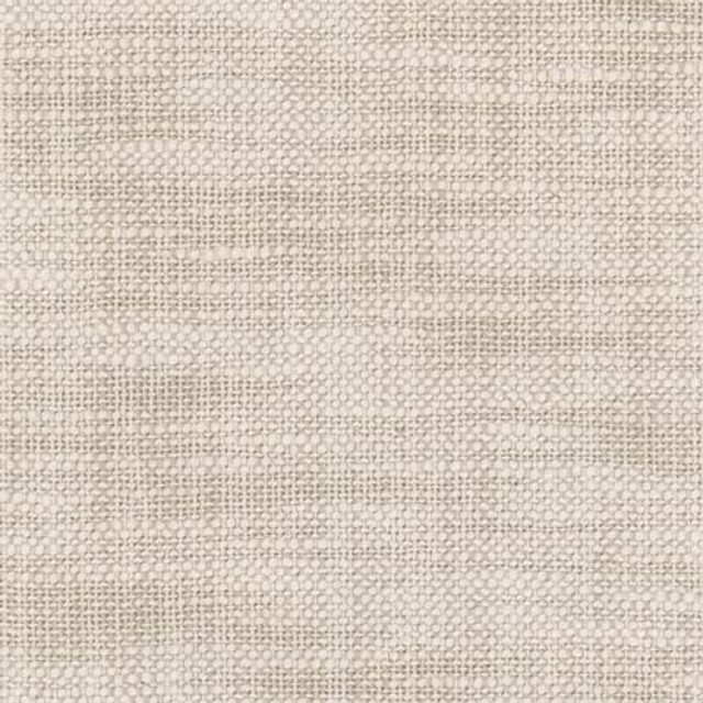 From The Start Papyrus by Carole Designer Fabric See It Through 66% Cotton, 34% Polyester India N/A None 55.25" - Swanky Fabrics -