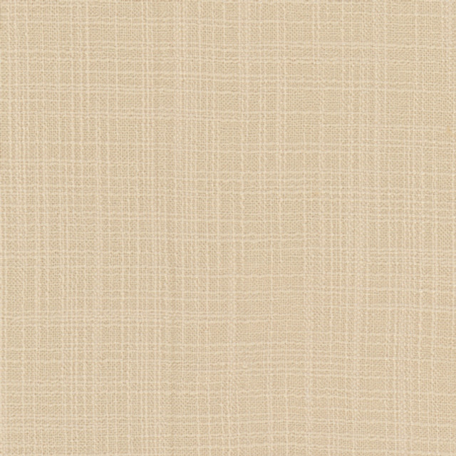 Lets Be Real Cream by Carole Designer Fabric See It Through 100% Recycled Polyester India 50,000 Wyzenbeek Double Rubs None 54" - Swanky Fabrics -