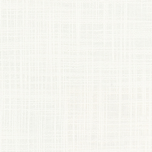 Lets Be Real Natural by Carole Designer Fabric See It Through 100% Recycled Polyester India 50,000 Wyzenbeek Double Rubs None 54" - Swanky Fabrics -
