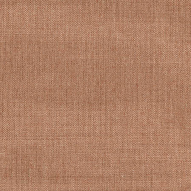 Aerial Burnished Bronze by Carole Designer Fabric Sunbaked 100% Polyester INDIA 50,000 Wyzenbeek Double Rubs None 54" - Swanky Fabrics -