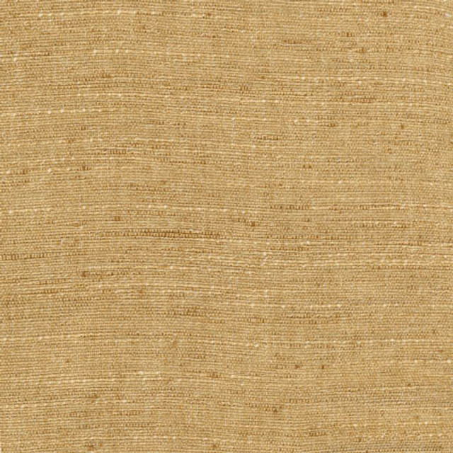 Training Day Mustard by Carole Designer Fabric Sunbaked 92% Polyester, 8% Cotton INDIA N/A None 54" - Swanky Fabrics -