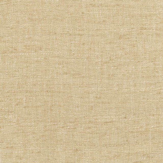 Training Day Sand by Carole Designer Fabric Sunbaked 92% Polyester, 8% Cotton INDIA N/A None 54" - Swanky Fabrics -