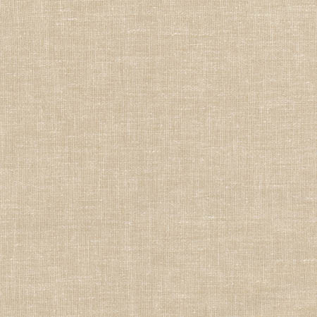 Aspire To Natural by Carole Designer Fabric Toasted Almond 65% Polyester, 25% Cotton, 10% Linen INDIA N/A None 54" - Swanky Fabrics -