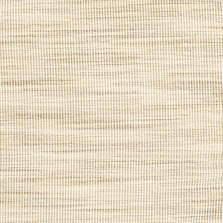 Secret Service Parchment by Carole Designer Fabric Toasted Almond 100% Polyester INDIA N/A None 54" - Swanky Fabrics -