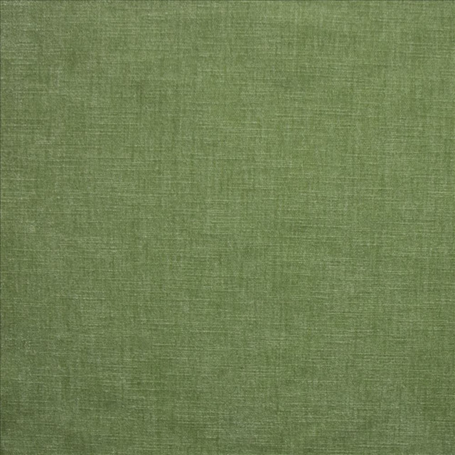 Corato Aloe  by Kasmir Designer Fabric 5187 62% Polyester 38% Cotton  INDIA  </p><p>Repeat: Horizontal: N/A and Vertical:  0 inches 54  - Swanky Fabrics -