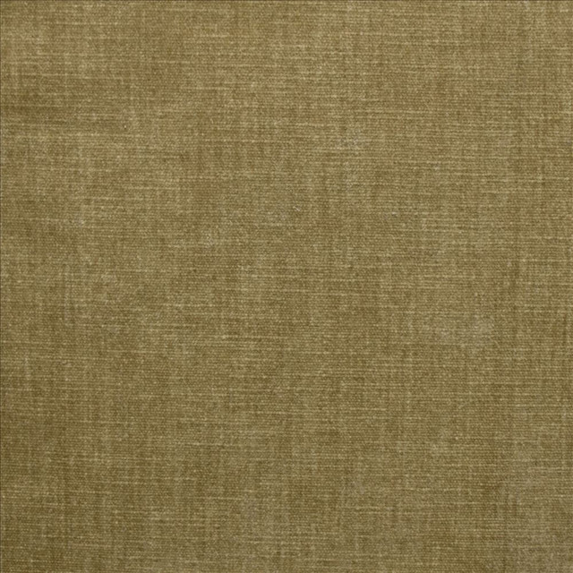 Corato Khaki  by Kasmir Designer Fabric 5187 62% Polyester 38% Cotton  INDIA  </p><p>Repeat: Horizontal: N/A and Vertical:  0 inches 54  - Swanky Fabrics -