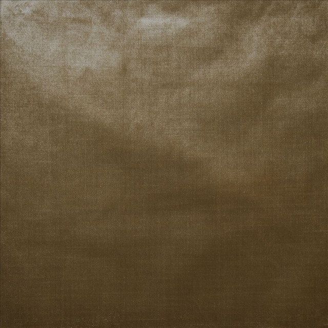 Daring Midas  by Kasmir Designer Fabric 5182 100% Polyester  CHINA  </p><p>Repeat: Horizontal: N/A and Vertical: N/A 55  - Swanky Fabrics -