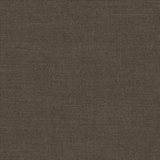 Mcdowell Java  by Kasmir Designer Fabric 5184 100% Polyester  INDIA  </p><p>Repeat: Horizontal: N/A and Vertical: N/A 55  - Swanky Fabrics -