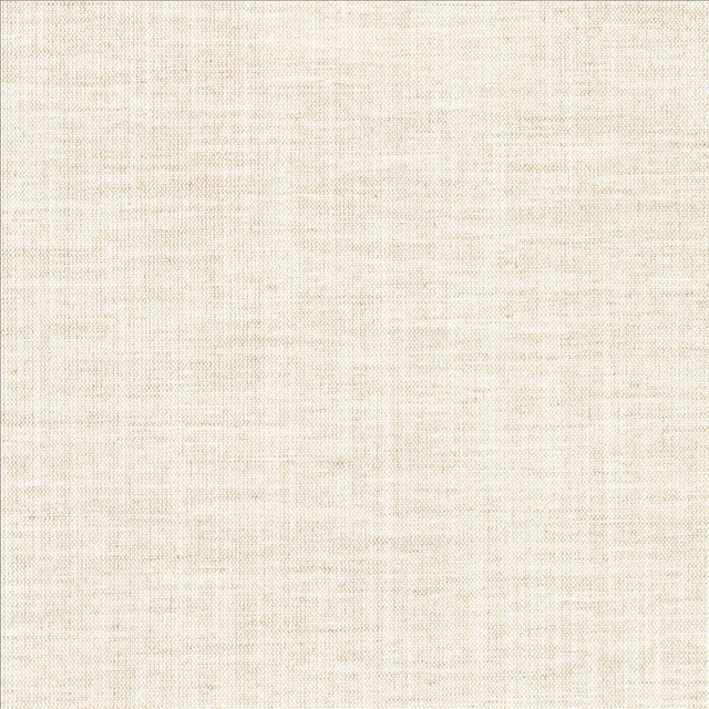 Mcdowell Shell  by Kasmir Designer Fabric 5184 100% Polyester  INDIA  </p><p>Repeat: Horizontal: N/A and Vertical: N/A 55  - Swanky Fabrics -
