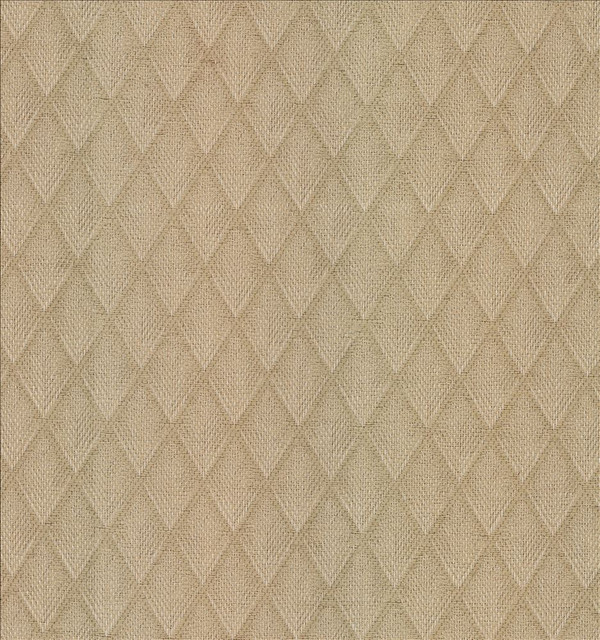Winamac Oatmeal  by Kasmir Designer Fabric 5185 100% Polyester  TURKEY  </p><p>Repeat: Horizontal: 1 6/8 inches and Vertical: 2 6/8 inches 54  - Swanky Fabrics -