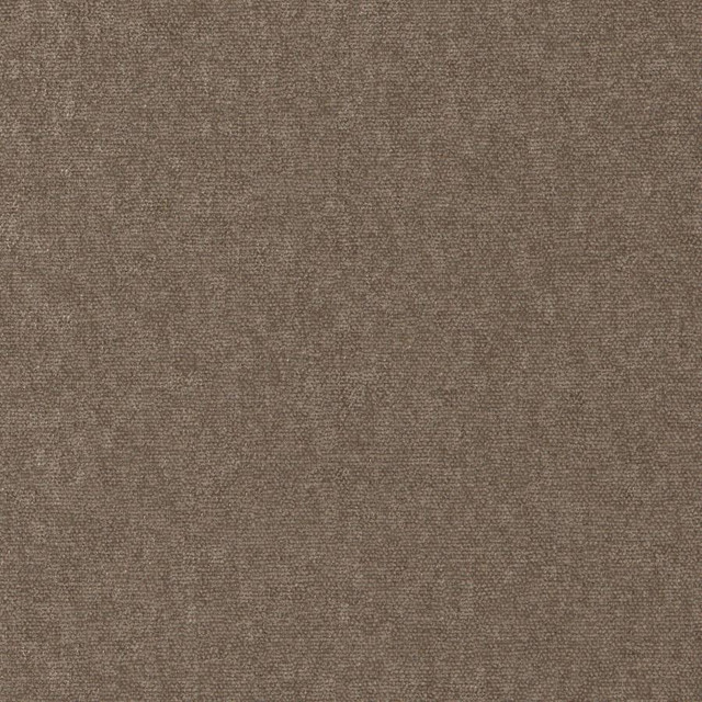 Conte # 911 Beaver by Maxwell Designer Fabric Curled Up Viii 100% POLYESTER INDIA 54" - Swanky Fabrics -