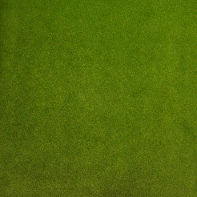 PALERMO 419 LIME by Maxwell Designer Fabric HOME & GARDEN-ACT VII 76% RECYLCED POLYESTER/24% POLYESTER (PILE: 100% SOLUTION-DYED RECYCLED POLYESTER) TURKEY   55"  - Swanky Fabrics -