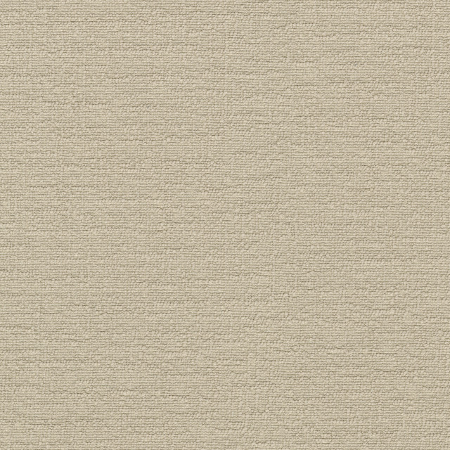 Cirrus Oat 412370 by PKL Studio Designer Fabric 100% polyester China 100000 Horizontal: 0 and Vertical: 0 54 - Swanky Fabrics -