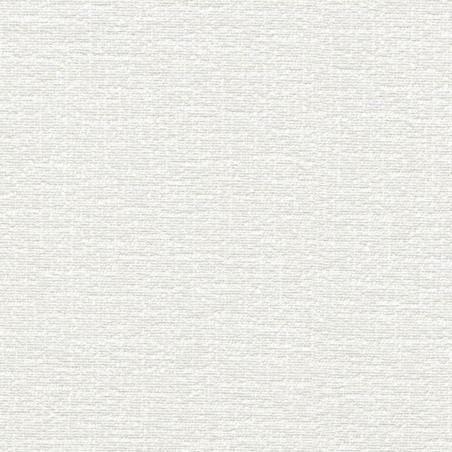 Cirrus White 412331 by PKL Studio Designer Fabric 100% polyester China 100000 Horizontal: 0 and Vertical: 0 54 - Swanky Fabrics -