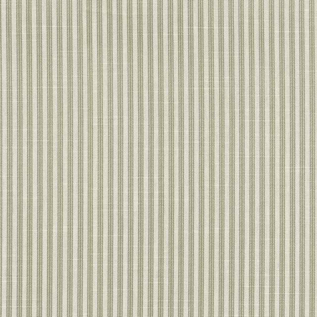 Everyday Ticking Shadow 412594 by PKL Studio Designer Fabric 100% cotton Pakistan 51000 Horizontal: 2.4 and Vertical: 0.1 54 - Swanky Fabrics -