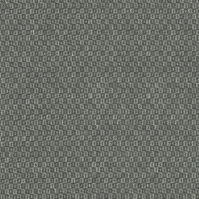 Parque Charcoal 412359 by PKL Studio Designer Fabric 82% polyester, 18% cotton India 51000 Horizontal: 0.5 and Vertical: 0.63 54 - Swanky Fabrics -