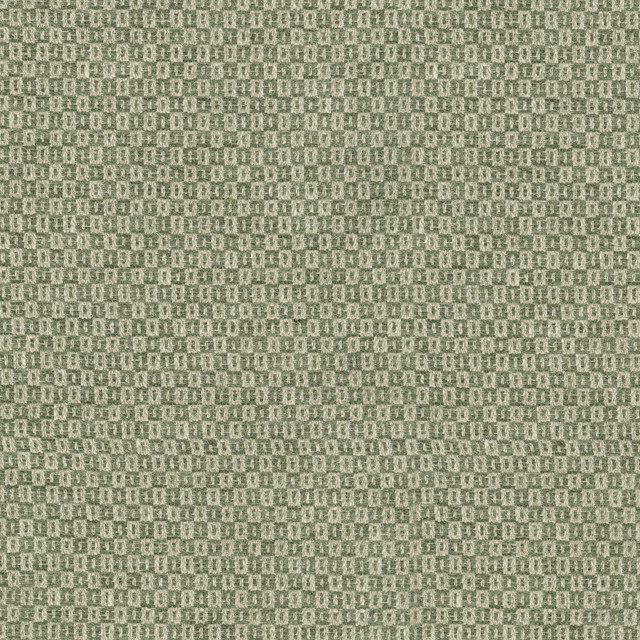 Parque Loden 412352 by PKL Studio Designer Fabric 82% polyester, 18% cotton India 51000 Horizontal: 0.5 and Vertical: 0.63 54 - Swanky Fabrics -