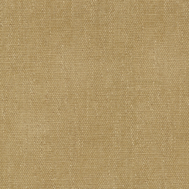 Perf Rowan Gold 411724 by PKL Studio Designer Fabric 100% Polyester China 51000 Horizontal: N/A and Vertical: N/A 54 - Swanky Fabrics -