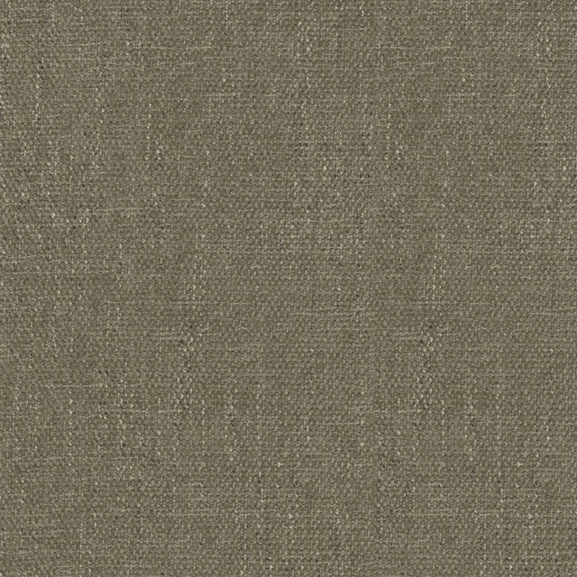 Perf Rowan Taupe 411728 by PKL Studio Designer Fabric 100% Polyester China 51000 Horizontal: N/A and Vertical: N/A 54 - Swanky Fabrics -