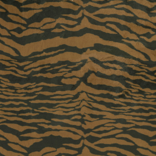Serengeti Stroll Tiger 411990 by PKL Studio Designer Fabric 100% Polyester China 51000 Horizontal: 25 and Vertical: 25.25 60 - Swanky Fabrics -