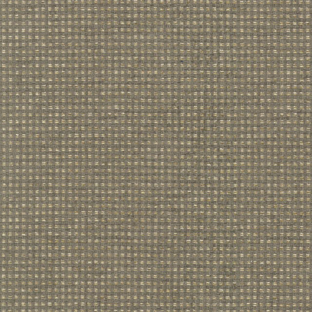 Tahitian Basket Shale 412123 by PKL Studio Designer Fabric 100% Polyester India 51000 Horizontal: 0.25 and Vertical: 0.25 54 - Swanky Fabrics -