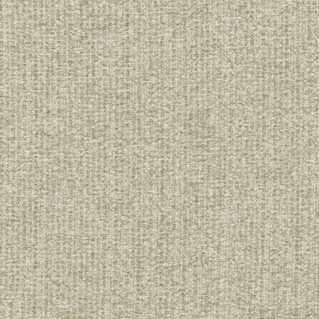 Ventura Papyrus 412526 by PKL Studio Designer Fabric 100% polyester India 51000 Horizontal: n/a and Vertical: n/a 54 - Swanky Fabrics -