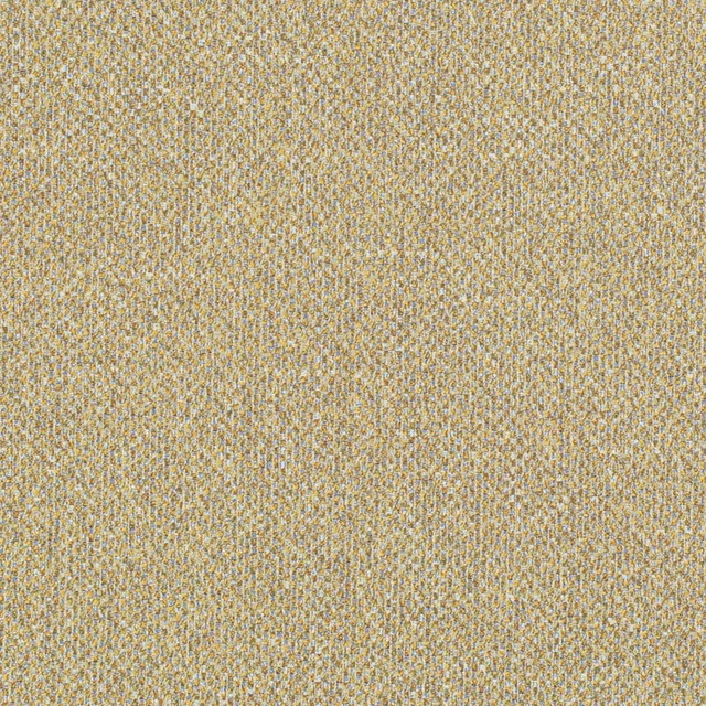 D3273 by Charlotte Designer Fabric Old World Classics II 50% Polyester, 25% Acrylic, 25% Cotton Spain Exceeds 60,000 Wyzenbeek Rubs (Heavy Duty) No Repeat 54 Inches - Swanky Fabrics -