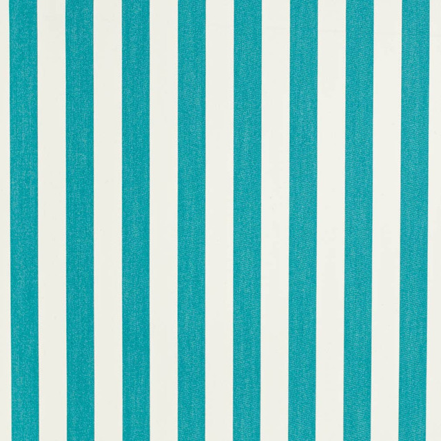 D3462 by Charlotte Designer Fabric Cabana 100% Solution Dyed Acrylic Asia Exceeds 120,000 Wyzenbeek Rubs (Heavy Duty) Horizontal 2" 54 Inches - Swanky Fabrics -