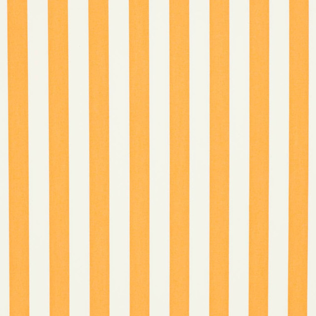 D3476 by Charlotte Designer Fabric Cabana 100% Solution Dyed Acrylic Asia Exceeds 120,000 Wyzenbeek Rubs (Heavy Duty) Horizontal 2" 54 Inches - Swanky Fabrics -